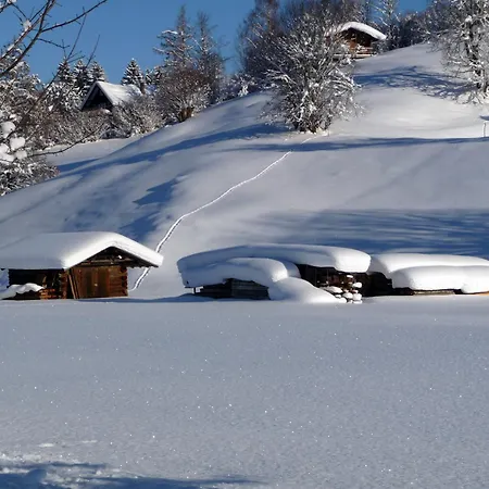 Berktold Apartment Oberstdorf